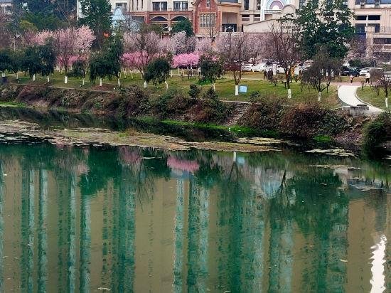 Emei Mountain Xileer Hotel