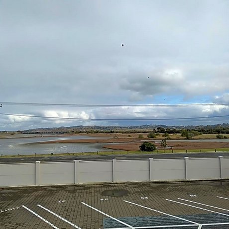 Albatross Motel