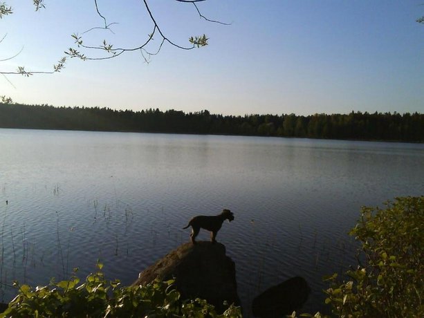 Vimmerby Stugby