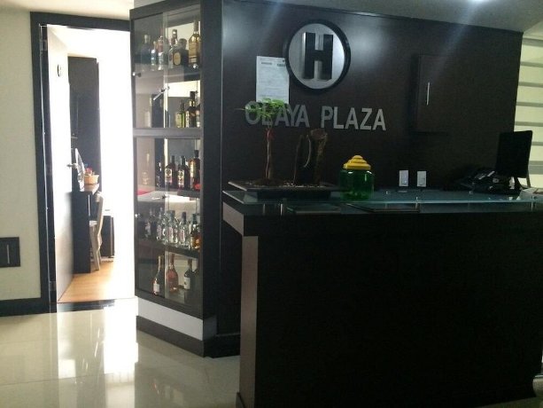 Hotel Olaya Plaza