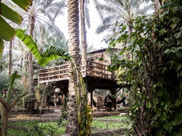 Hotel Diar Abou Habibi