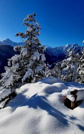 Holiday chalet 'Alpine dreams'