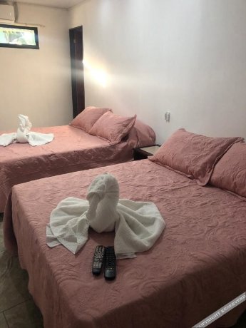 Hotel Hoja de Oro Corcovado