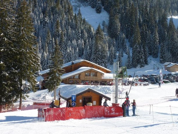 La Perdrix Blanche