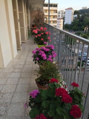 Chambre Ajaccio