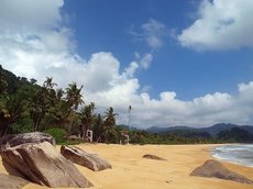 1511 Coconut Grove Tioman Photos Reviews Deals