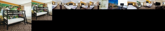 La Quinta Inn & Suites San Diego Carlsbad