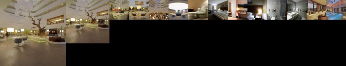 Radisson Blu Conference & Airport Hotel