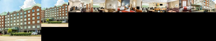 Newport Hotel Deals Cheapest Hotel Rates In Newport Ky