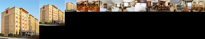 Sheraton JFK Airport Hotel