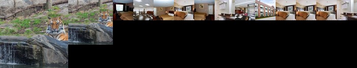 Bronx Hotel Deals Cheapest Hotel Rates In Bronx New York City