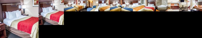 Comfort Inn & Suites JFK Airport