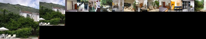 Τζέσικα szohr ραντεβού ιστορία