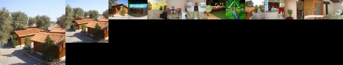 Noor Majan Camp Noor Majan Camp