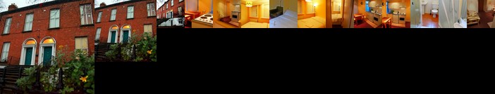 The Dublin Viking's Place