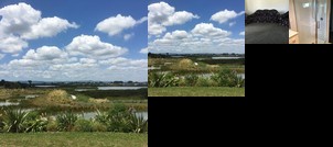 Homestay in Homai near Homai Train Station