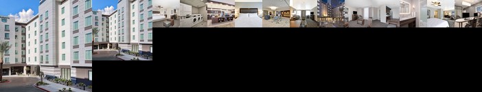 Homewood Suites By Hilton Las Vegas City Center