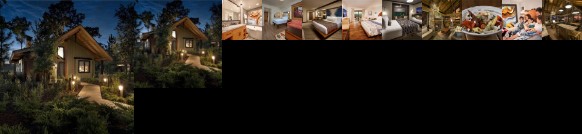 Hotels Near Walt Disney World Orlando Amazing Deals On 20 Hotels